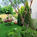 Iliotropio * Lefokastro