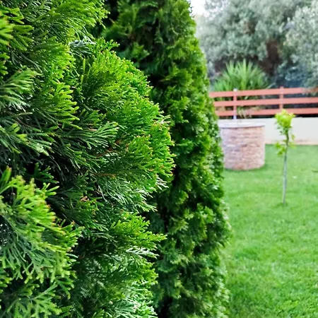 Iliotropio Casa vacanze *