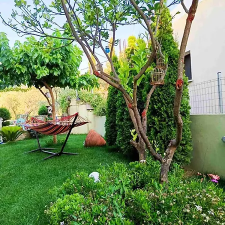 Iliotropio * Lefokastro