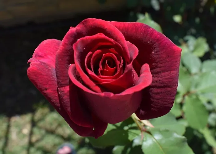 Hébergement de vacances Iliotropio Lefokastro