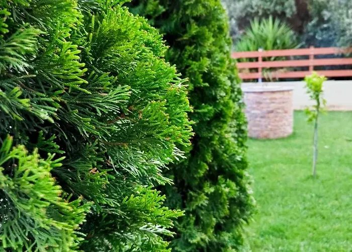 Iliotropio Hébergement de vacances *